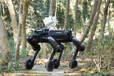 拓斯达机器狗 “星仔” 上线，探索场景应用N种可能
