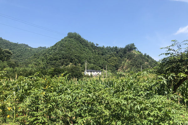 循科公司助力PBST全生物降解地膜项目再落一子