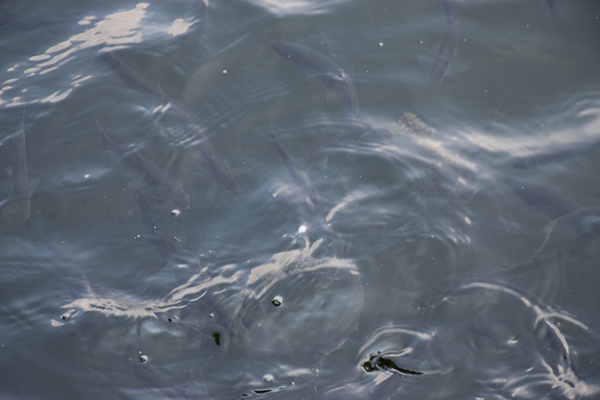 福建省委常委、组织部部长赴福州快递企业调研党建工作并慰问快递员