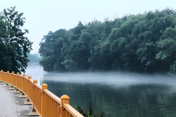 沙特阿拉伯升级电动洗衣机能效与用水标准